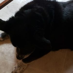 Meet your Posher, Nick